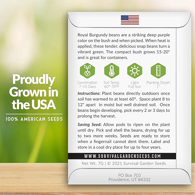 Survival Garden Seeds - Royal Burgundy Bean Seed for Planting - 2 Packs with Instructions to Plant and Grow Stringless Purple Bush Beans in Your Home Vegetable Garden - Non-GMO Heirloom Variety