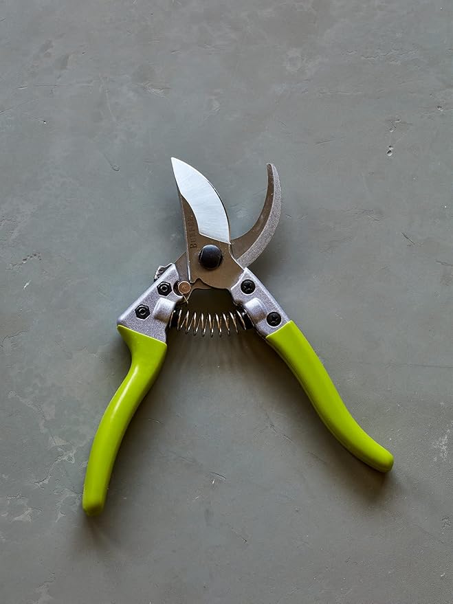Burpee CR850 Bypass Garden Pruner - Pruning Shears - Long-Lasting Garden Tools - Great for Trimming Shrubs or Harvesting Vegetables - 8.5 Inches