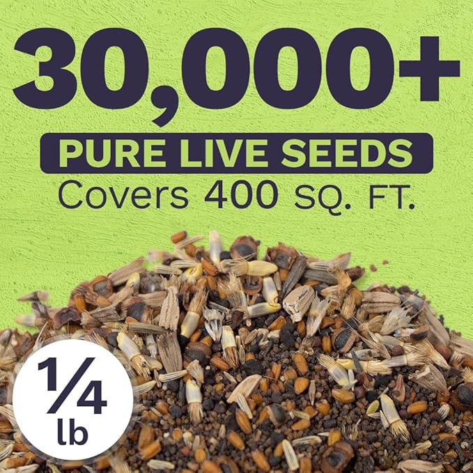 Northeast Wildflower Seeds - Bulk 1/4 Pound Bag - Over 30,000 Native Seeds - Open Pollinated and Non GMO Varieties for New York, Virginia, Pennsylvania, Maine and More!