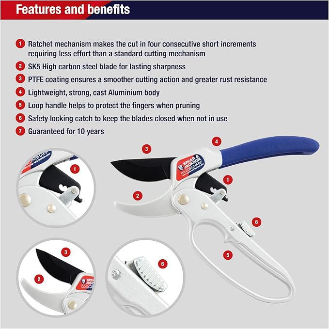 Spear & Jackson 6358RS Razorsharp Ratchet Anvil Pruners / Pruning Shears with Loop Handle. Clean & Easy Cutting. Cuts Thick Branches