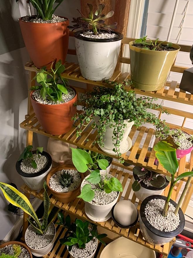 Voulosimi Garden Pumice Rock Horticultural Cactus Bonsai Succulent Soil Additive for Plants, Landscaping, Vase Fillers (3/8 inch, 18 LB)