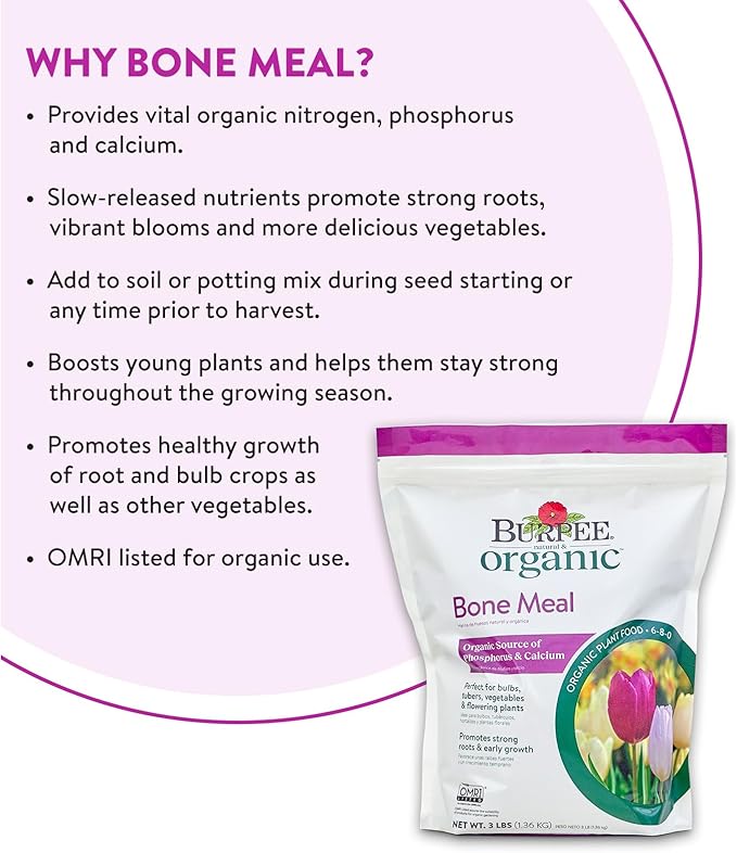 Burpee Bone Meal Fertilizer | Add to Potting Soil | Strong Root Development | OMRI Listed for Organic Gardening | for Tomatoes, Peppers, and Bulbs, 1-Pack, 3 lb (1 Pack)