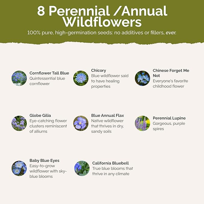 Eden Brothers Singin the Blues Wildflower Mixed Seeds for Planting, 1/4 lb, 120,000+ Seeds with Blue Flax, Lupine, Chicory, Attracts Pollinators, Plant in Spring or Fall, Zones 3, 4, 5, 6, 7, 8, 9, 10