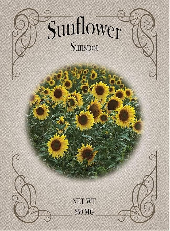 Set of Flower Seed Packets! Flower Seeds in Bulk - Great for Creating The Garden of Your Dreams! (100, Sunspot Sunflower)