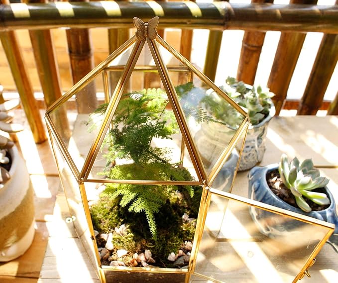 Glass Geometric Plant Terrarium,Succulent & Air Planter for Home Garden Office Decoration,No Plants(Gold Hexagonal)