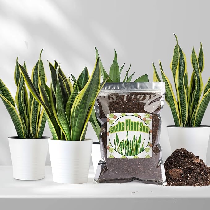 Premium Snake Plant Soil Mix 10qt, Indoor Plants Potting Mix for All Potted Snake Plants, Promote Healthy Growth and Easy Care