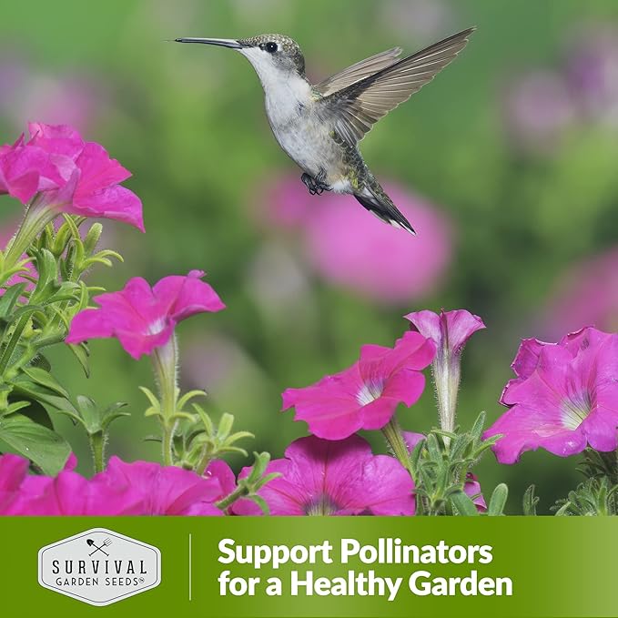 Survival Garden Seeds - Hummingbird Pollinator Mix Wildflower Seed for Planting - 3 Packs with Instructions to Plant & Grow Nectar Flowers in Your Home Vegetable Garden - Non-GMO Heirloom Varieties
