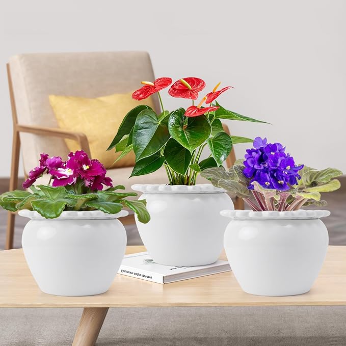 African Violet Pots 8 inch White Ceramic Easy Plant Self Watering Pot Ceramic Flowerpot with Water Absorbing Inner Pot Orchid Planter for Best Gifts Lawn Yard Outside Decor