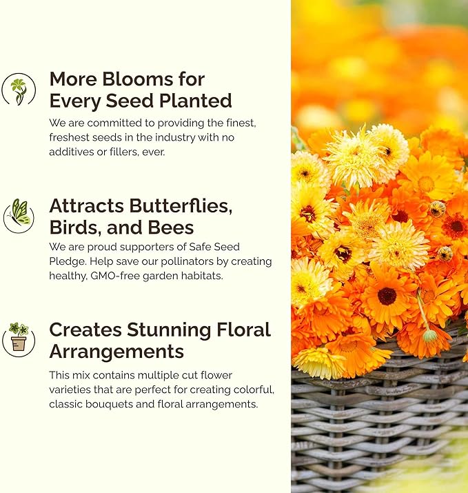 Eden Brothers Shorty Low Grow Wildflower Mixed Seeds for Planting, 10 lb, 4,800,000+ Seeds with Calendula, Cornflower | Attracts Pollinators, Plant in Spring or Fall, Zones 3, 4, 5, 6, 7, 8, 9, 10