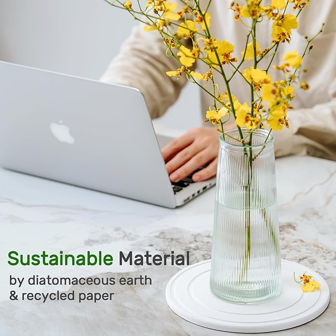 Diatomaceous Earth Plant Saucer for Indoor, 2 Pack 10 inch, Instant Dry Pot Saucer, Plant Drip & Drainage Tray for Indoor, Off White