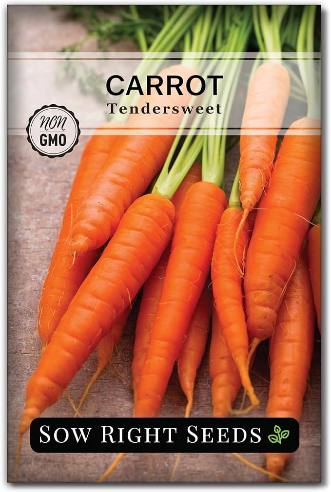 Sow Right Seeds - Tendersweet Carrot Seeds for Planting - Non-GMO Heirloom Packet with Instructions to Plant & Grow an Outdoor Home Vegetable Garden - Coreless Market Variety - Makes a Great Gift (1)