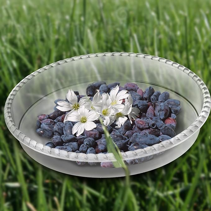 6 Pack Plant Saucer 6 8 10 12 14 Inch Plastic Plant Tray, Sturdy and Durable Flower Pot Container Accessories Plant Pot Saucers for Indoor and Outdoor (12 Inch, Clear)