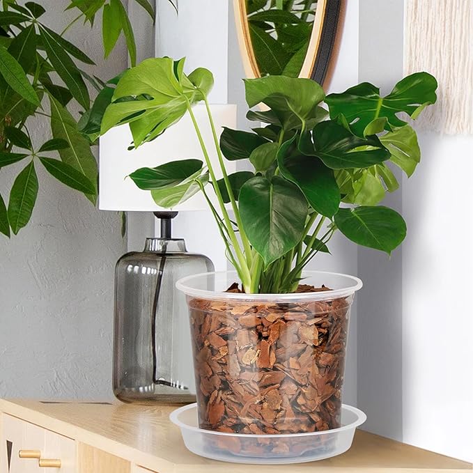 40 Pack 4/5/6/7 Inch Clear Nursery Pots with Drainage and Saucer, Clear Plastic Planter Pots for Plants, Flexible Seed Starting Pots for Succulents, Small Herbs, Annual Flowers