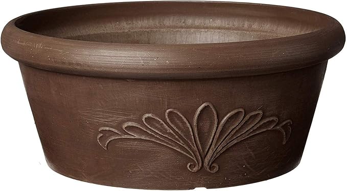 PSW Pot TA20C Collection Shallow Bulb Pan Planter Dish Low Bowl for Succulents, Bonsai, Fairy Gardens, Herbs, 8-inch, Chocolate.