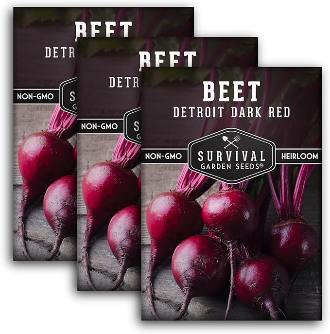 Survival Garden Seeds - Detroit Dark Red Beet Seed for Planting - 3 Packs with Instructions to Plant and Grow Delicious Root Vegetables in Your Home Vegetable Garden - Non-GMO Heirloom Variety