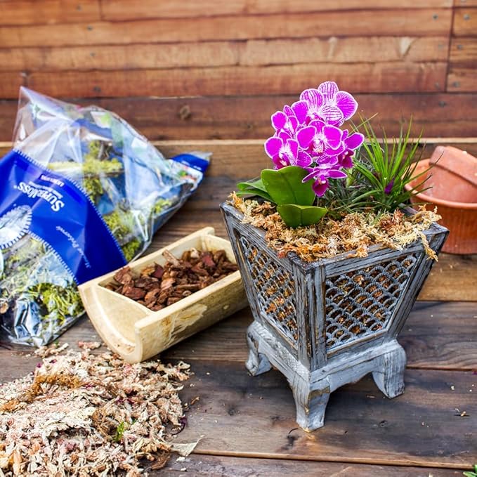 SuperMoss (22330) Orchid Sphagnum Moss Dried, Natural, 2.1lbs Small Bale