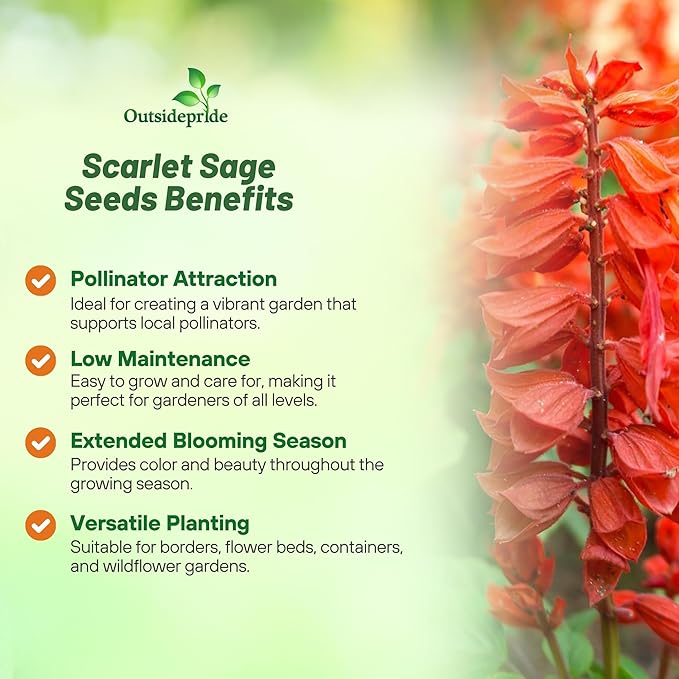 Outsidepride Salvia Coccinea Scarlet Sage Seeds for Planting - 5000 Pcs Perennial, Heat-Tolerant Wildflower Seeds w/Red Blooms, Attracts Hummingbirds & Butterflies for Pollinator-Friendly Gardens