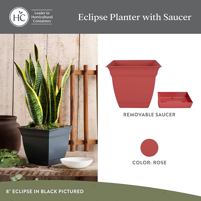 The HC Companies 8 Inch Eclipse Square Planter with Saucer – Indoor Outdoor Plant Pot for Flowers Vegetables Herbs, Rose