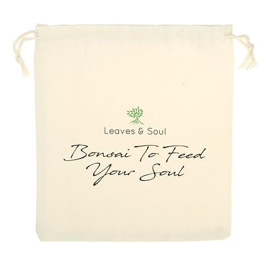 Leaves and Soul Tree Training Wire Kit - 5 Rolls (160ft) Aluminum Alloy Bonsai Plant Training Wire | Wire Cutter | Canvas Storage Bag - Bonsai Accessories for Beginners & Professionals