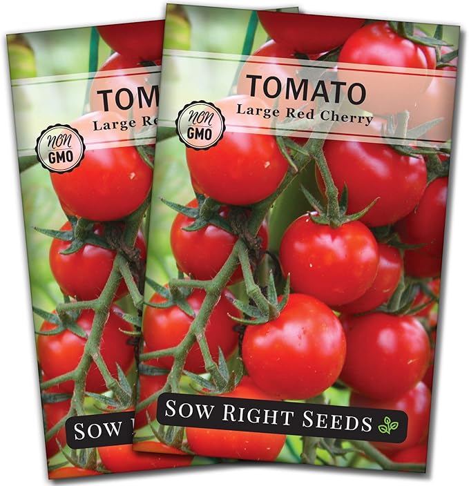 Sow Right Seeds - Large Red Cherry Tomato Seeds for Planting - Non-GMO Heirloom Packet with Instructions to Plant a Home Vegetable Garden - Tasty Snacking Variety, Start Indoors - Indeterminate (2)