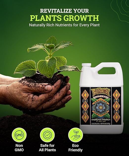 Fox Farm Bushdoctor Boomerang Fertilizer - for Fast Recovery of Stressed Plants, Root Health, Solubilized Nutrition - Perfect for Hydroponic & Soil Application- NPK 2-0.2-0.3, (Gallon)