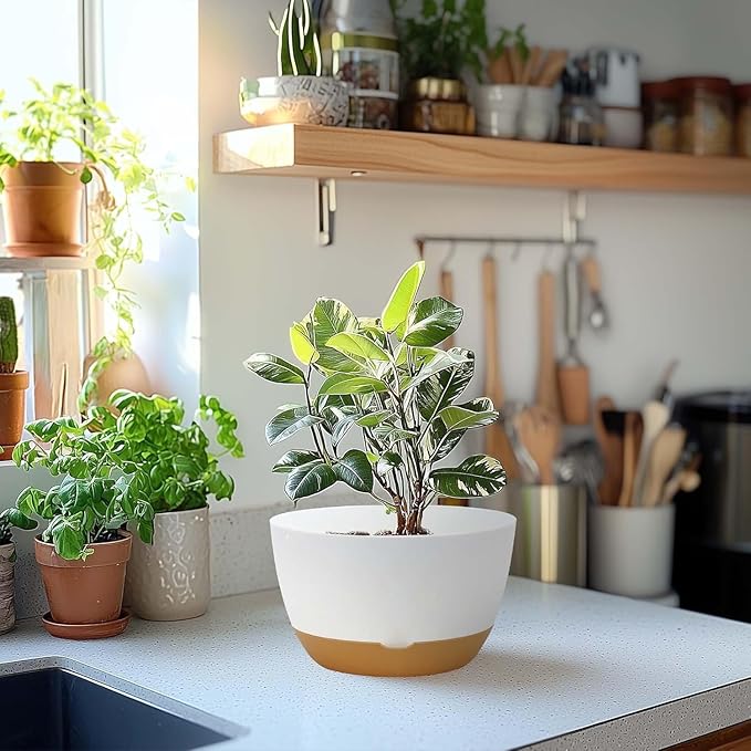 10 Inch Pots for Indoor Plants, Large Self Watering Planters with Drainage and Saucers, Plastic Outdoor Flower Pot, Set of 2, White