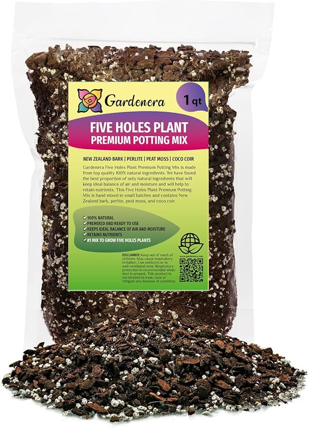 Premium Five Holes Monstera Potting Mix - Hand-Crafted for Optimal Nutrient Absorption - 1 Quart