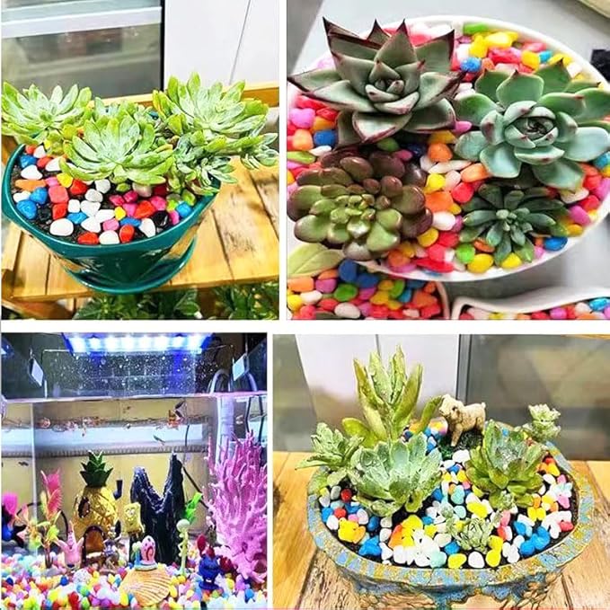 2LB Succulent and Cactus Gravel Pebbles, 1/4 Inch - 1/3 Inch Natural Decorative Polished Stones, River Rocks for Plants, Aquariums, Vases, Terrarium and Outdoor Gardening, 7 Mixed Colors