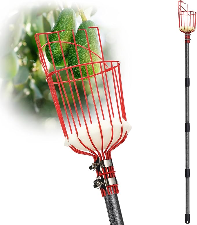 DonSail Fruit Picker Pole with Basket Telescoping, Adjustable Citrus Orange Picker Pole with Basket 35-150 inch Long Handle, Mango Avocado Fig Acorn Pear Pomelo Chery Lemon Picker for Tree