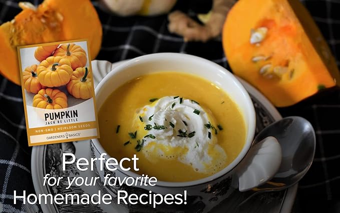 Mini Pumpkin Seeds for Planting (Jack Be Little) Small Heirloom, Non-GMO Vegetable Variety-5 Grams Seeds Great for Summer Pumpkin Gardens by Gardeners Basics