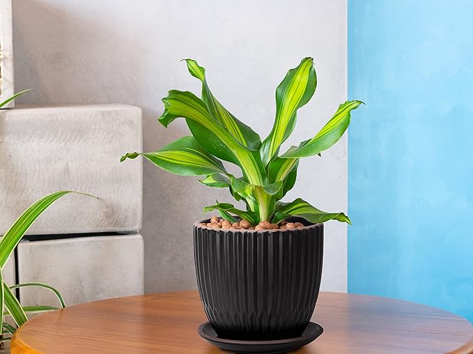 D'vine Dev Set of 2 Stoneware Planter Pots, Ceramic Pot with Drainage Hole and Saucers, 4.5 Inch 5.8 Inch, Black, 99-D-2