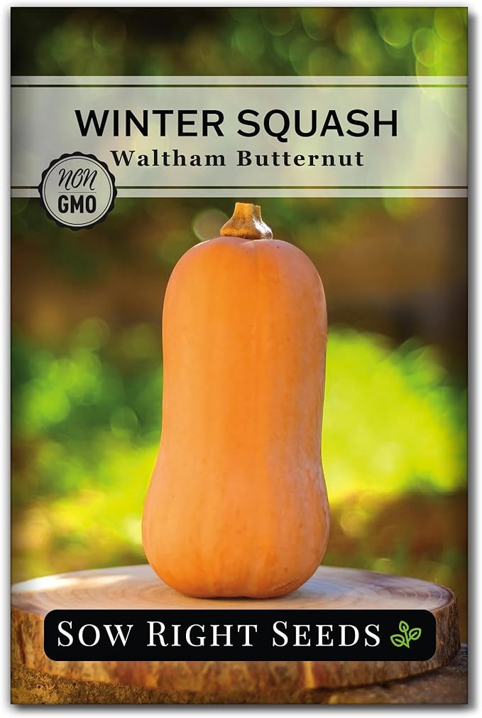Sow Right Seeds - 3 Sisters Seed Collection for Planting - Packets of Bantam Sweet Corn, Kentucky Wonder Pole Bean, and Waltham Butternut Squash - Non-GMO Heirloom Seeds to Plant Home Vegetable Garden