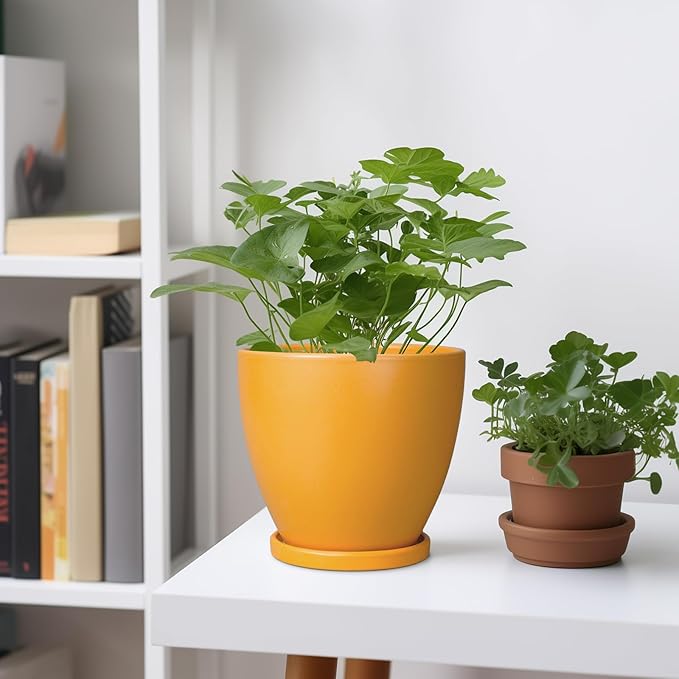 6 Inch Plant Pot - Ceramic Planter with Drainage Hole and Saucer, Modern Round Flower Pot, Planters for Indoor Plants, Home Garden Decor, Orange