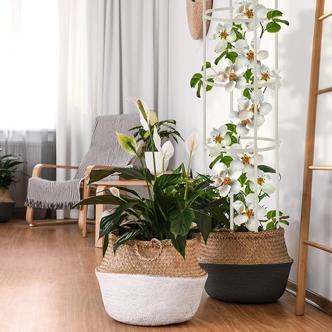 2 Pcs Garden Obelisk Trellis for Climbing Plants Outdoor 6 Ft Rose Bush Round Trellis for Pots Rustproof Metal Plant Flower Trellises for Clematis Vine Jasmine Support Outdoor Indoor