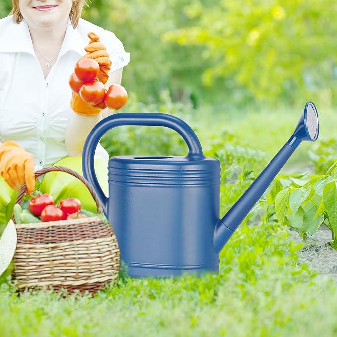 2 Gallon Watering Can for Indoor Plants, Garden Watering Cans for Outdoor Plant House Flower, Modern Plant Watering Can Large Long Spout with Sprinkler Head