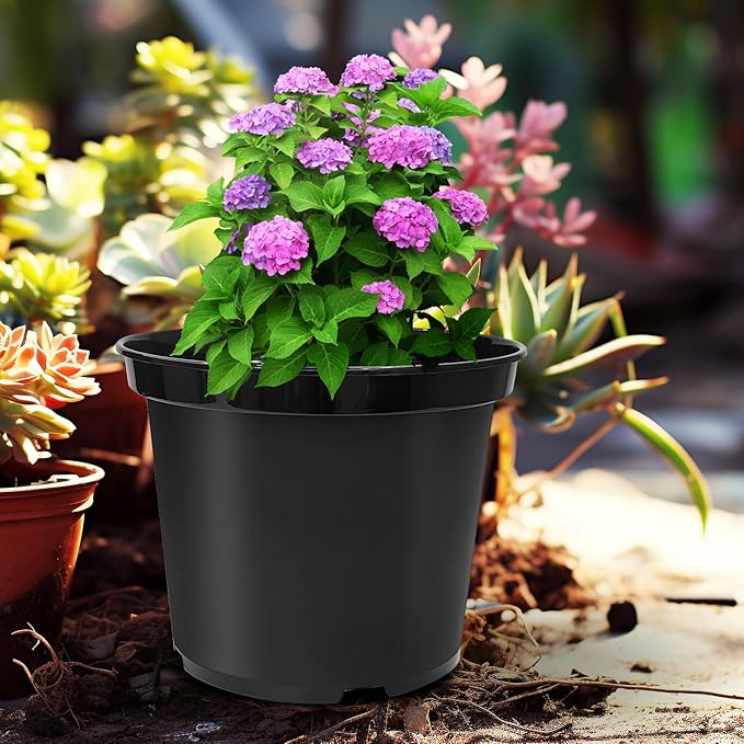 3 Gallon Plastic Nursery Pots, 10 Inch Round Plant Pots with Drainage Holes, 10 Pack Planting Pot for Outdoor Indoor Plants, Black