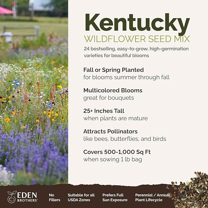Eden Brothers Kentucky Wildflower Mixed Seeds for Planting, 1 lb, 480,000+ Seeds with Black Eyed Susan, Cosmos | Attracts Pollinators, Plant in Spring or Fall, Zones