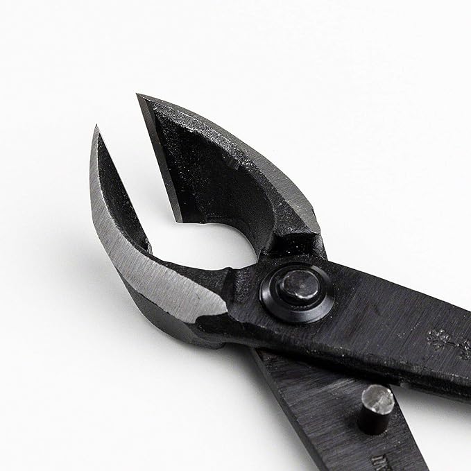 Wazakura Japanese Bonsai Tool Kit Set Made in Japan, Satsuki Scissors 7inch(180mm) + Concave Branch Cutter 8inch(200mm) Gift Box (Yasugi Steel Satsuki Scissors + Concave Branch Cutter)