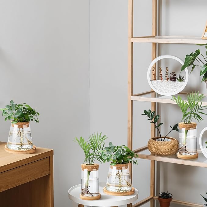 Layhit 4 Pcs Plants Propagation Stations Separated Desktop Plant Terrarium Glass Planter Vase with Wooden Lid and Bamboo Stand for Growing Hydroponic Home Office Tabletop Decoration (Stylish Style)