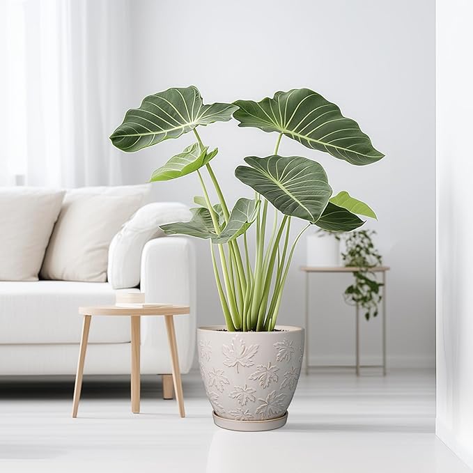 Pots for Plants 10 Inch - Ceramic Planter Large Plant Pot for Indoor Plants Outdoor Round Flower Pot with Drainage Hole and Saucer Home Garden Decor White