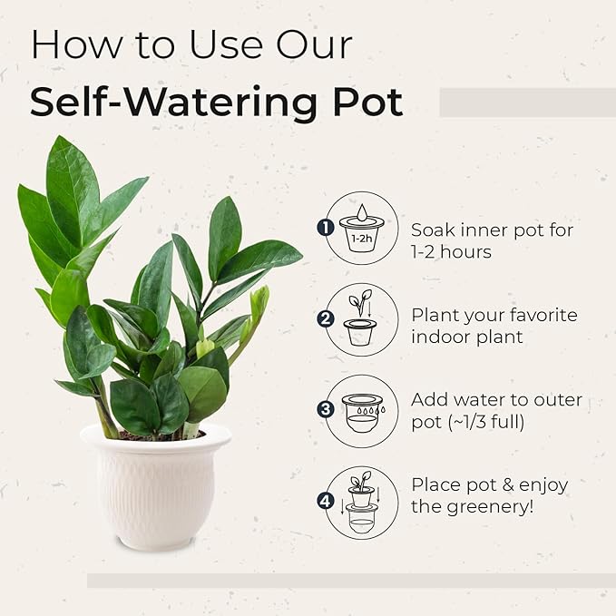 African Violet Pots Self Watering - 7in White Ceramic & Dolomite Clay - Easy & Effortless Planter Pot For Indoor Plants, Herbs, Flowers, Orchids, Succulent - Ideal Gardening Gifts, Plant Not Included