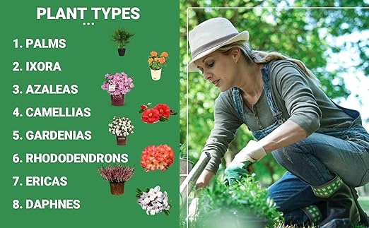 8-4-8 Professional Palm Tree Fertilizer Plant Food; for Indoor Potted Plants and Outdoor Landscape Palm Trees; Quick-Release Nitrogen Fertilizer and Continuous Feeding (2 QUARTS)