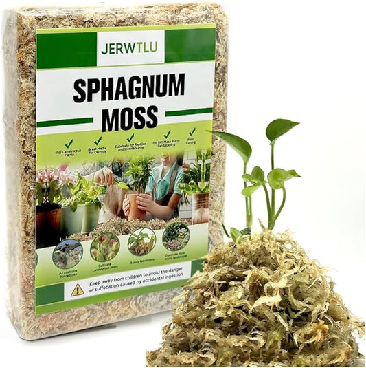 Natural Long Fiber Sphagnum Moss 34QT for Orchid Potting Mix, and Moss Pole for Plants Indoor. Ideal for Propagating Plants, Maintaining Humidity for Reptiles, Isopods in Paludarium, Aquascape (10 OZ)