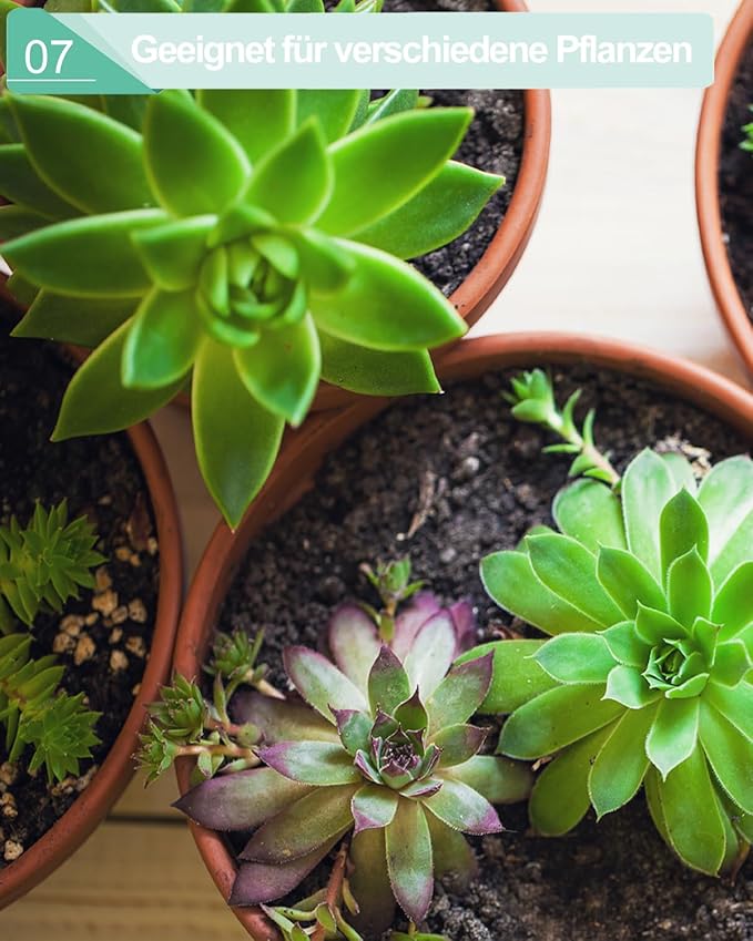 vensovo 5.7 Inch Terracotta Shallow Succulent Pot - 6 Pack Terra Cotta Clay Pots with Saucer, Cacuts Terra-Cotta Indoor and Outdoor Planters with Drainage Hole