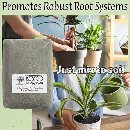Mycorrhizae Root Fungi Endo Granular Mycorrhizal 134 Spores Mycos Myko (2lb)