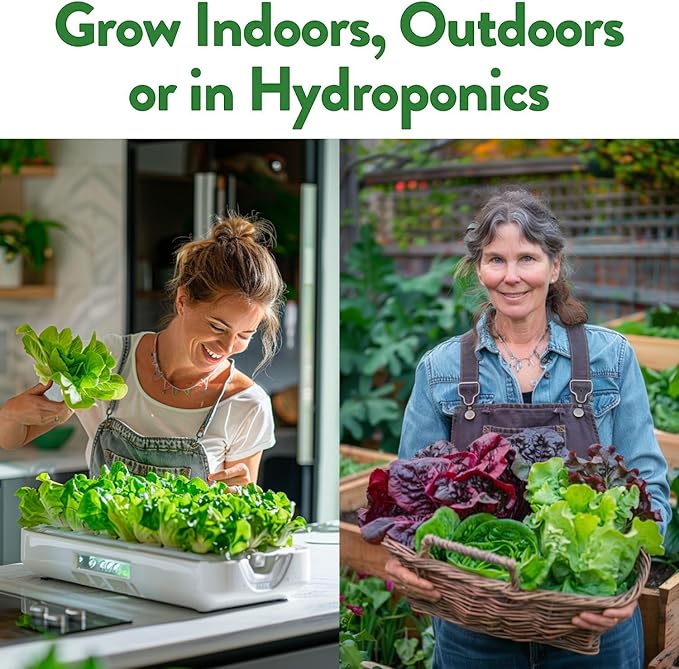 HOME GROWN 8 Lettuce & Salad Greens Seed Vault - 4,000+ Non-GMO Vegetable Seeds for Outdoors or Indoors - Seeds for Planting Hydroponic Garden