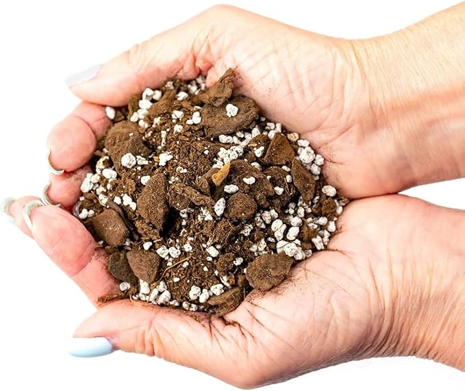 Premium Aloe Vera Potting Soil Mix - (3 Quart Bag)