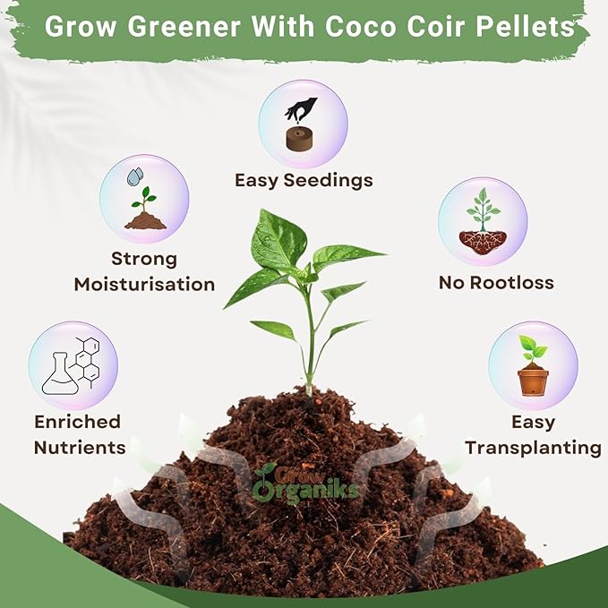 200 Pcs (3.5mm) Peat Pellets for Seedlings, Compressed Seed Starting Plugs Pallet Potting Soil Block, Seed Starter Pellets Soil Pods for Planting Flowers, Herbs, and Vegetables