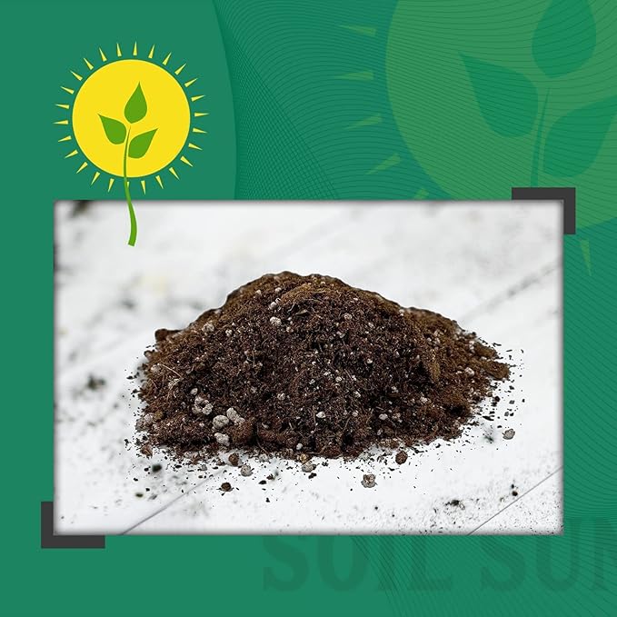 Lucky Bamboo Plant Potting Mix (4 Quarts), Custom Soil Mix for Repotting