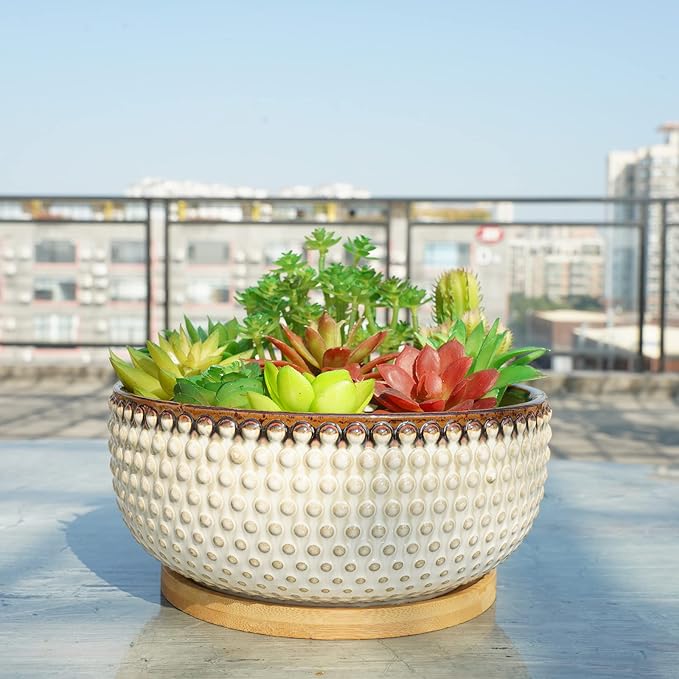 8 Inch Ceramic Succulent Shallow Planter Pot with Drainage Hole and Saucer Bonsai Planter for Indoor Plants White